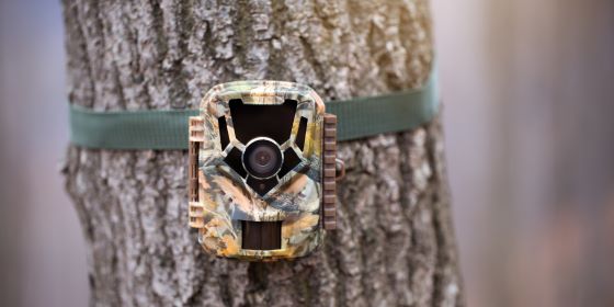 how to track a stolen trail camera